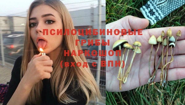 спайс Богданович